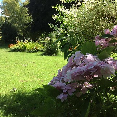 Au Fil Du Crembreux Bed and Breakfast Marquise Zewnętrze zdjęcie